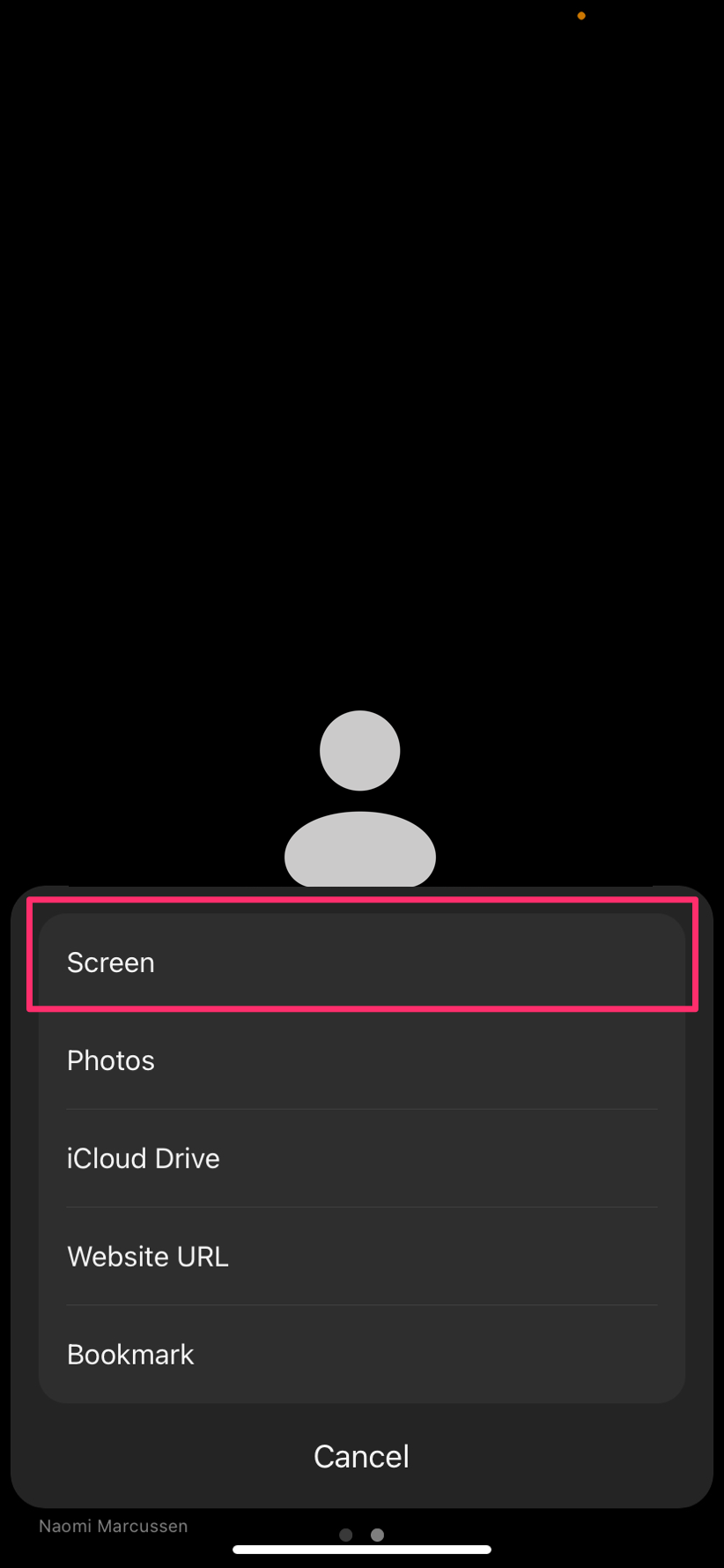 Screenshot of a Zoom app menu suggesting you select the Screen option.