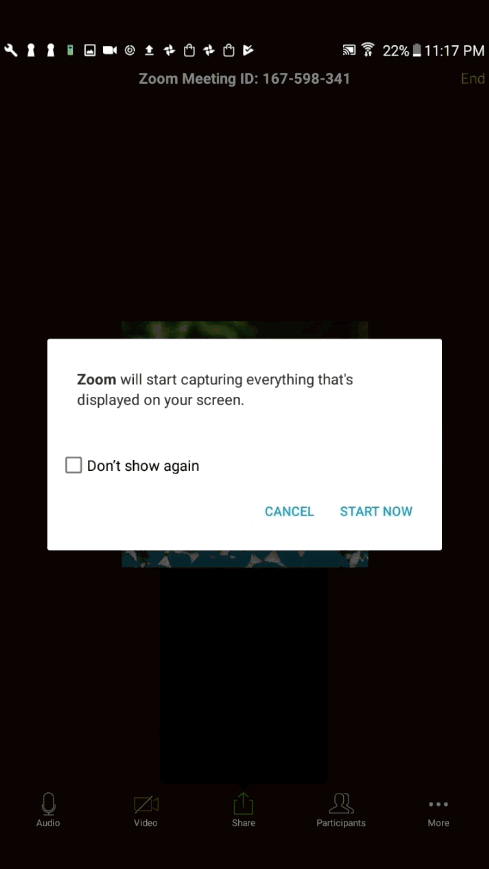 Screenshot of a confirmation window stating that Zoom will start capturing everything that's displayed on your screen.