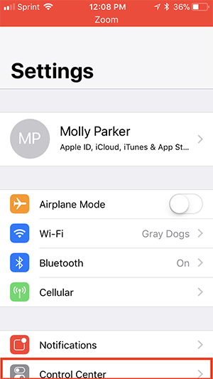 Screenshot of the Settings screen where you'll find the Control Center option at the bottom of the screen.