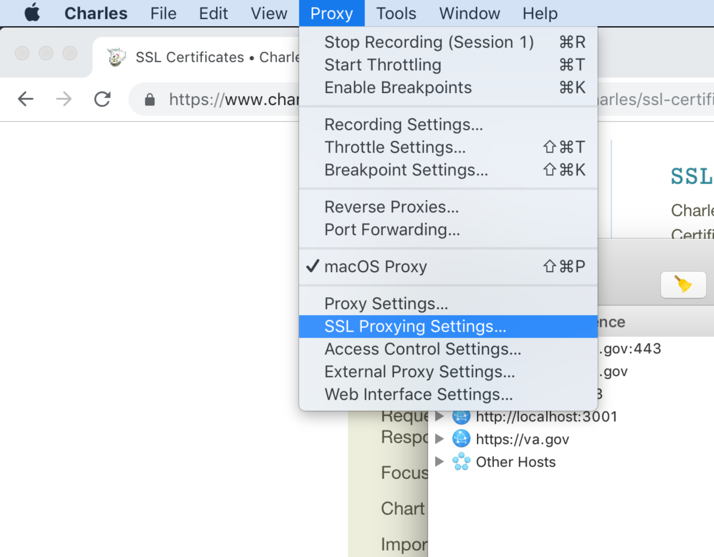 Screenshot of Charles Proxy Proxy menu items