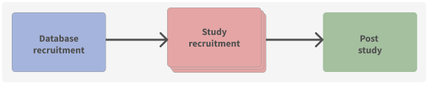 Flow chart of the research recruitment process